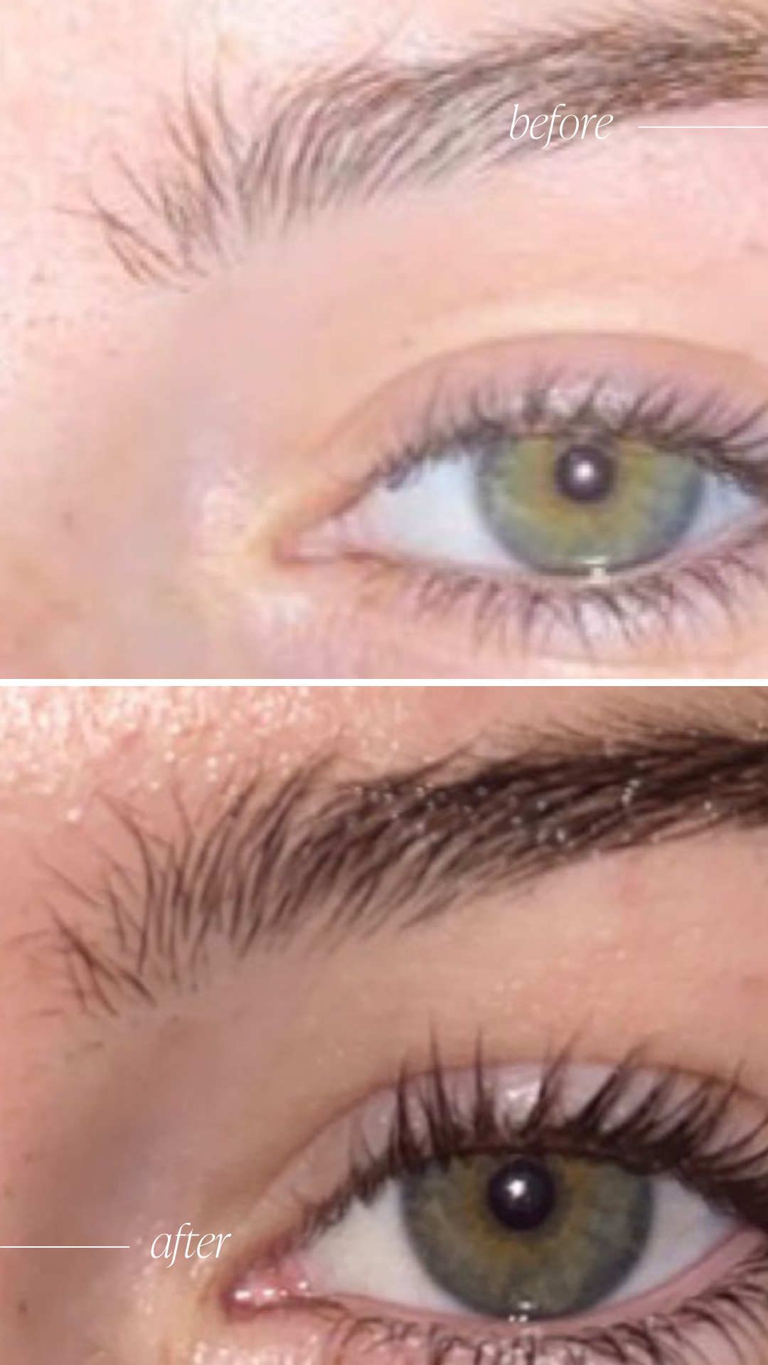 Lash Brow Growth Serum - Original Formula